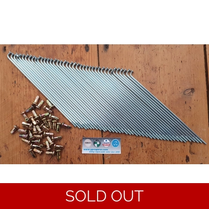 FS1/FS1E front spoke set for drum brake wheel (gold colour nipples).